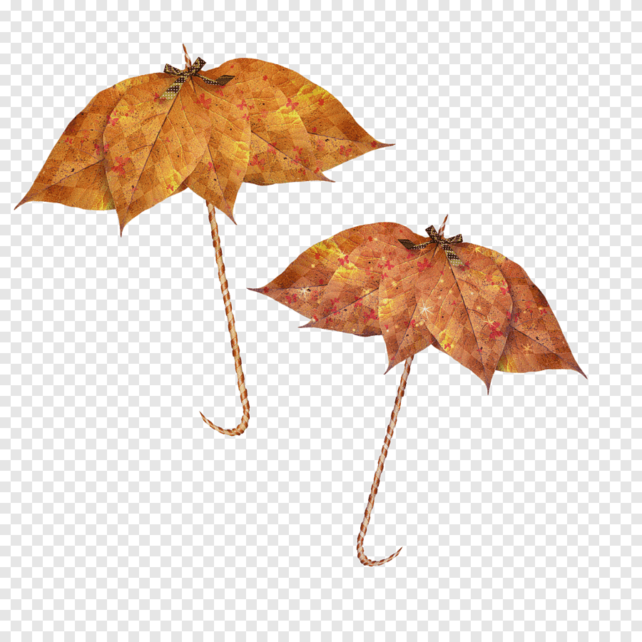 Зонтик из листьев