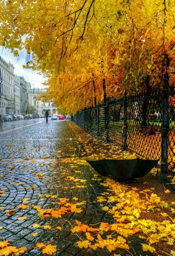 Осень в петербурге