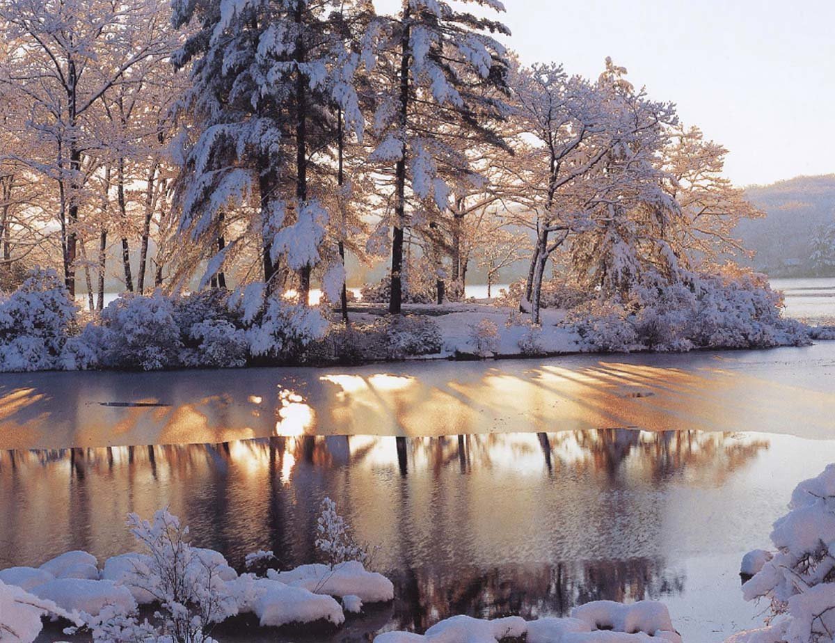 Картинки зима красивые. Зимний пейзаж. Декабрь природа. Февраль природа. Красивые пейзажи зимы.