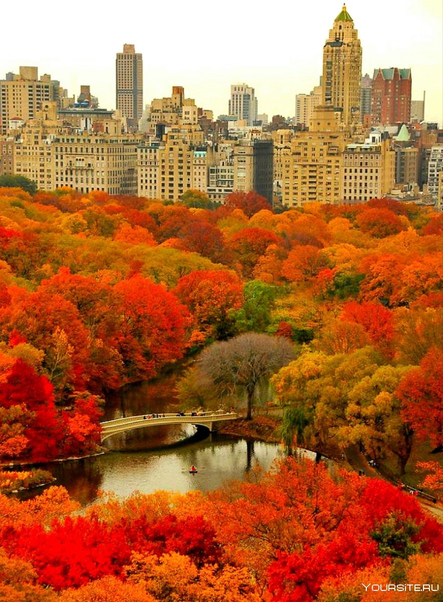 Осень в нью йорке