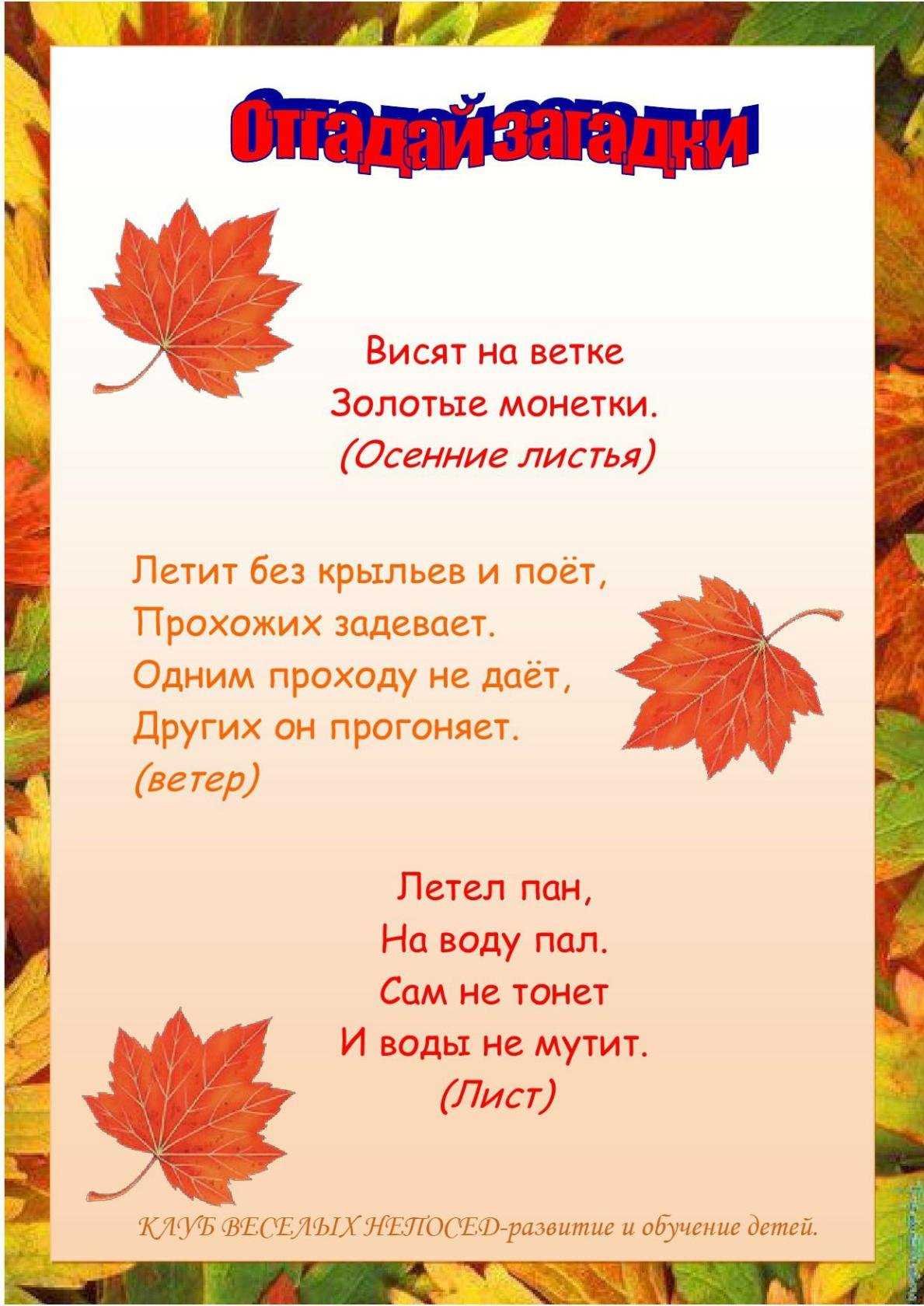 Стих 2 загадки. Стихи про осень. Стихи про осень для детей. Стихи про осень для малышей. Осенние стихи для детей.