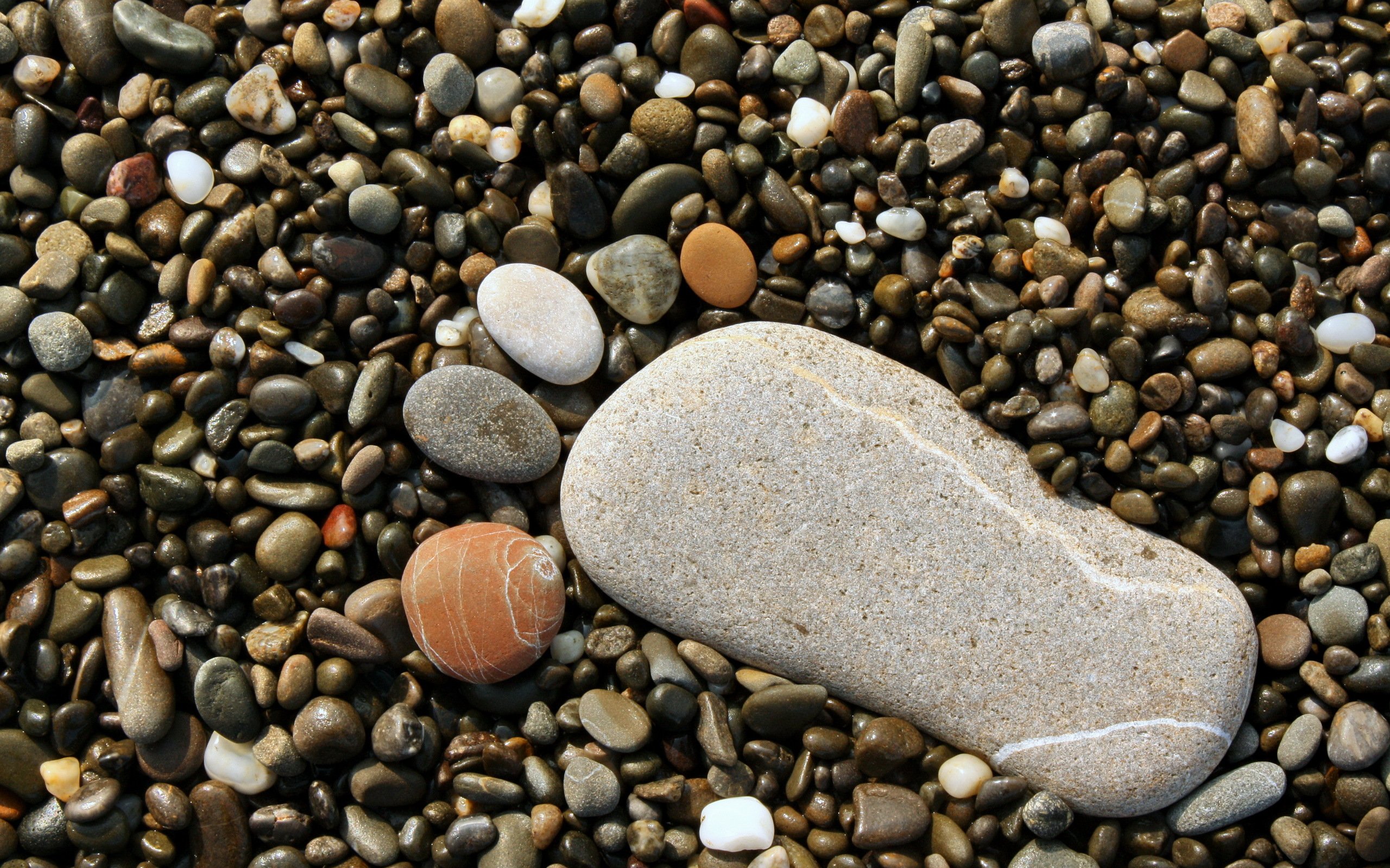 Усеянном гальками. Крупная галька. Морские камни. Морская галька. Красивые камушки.