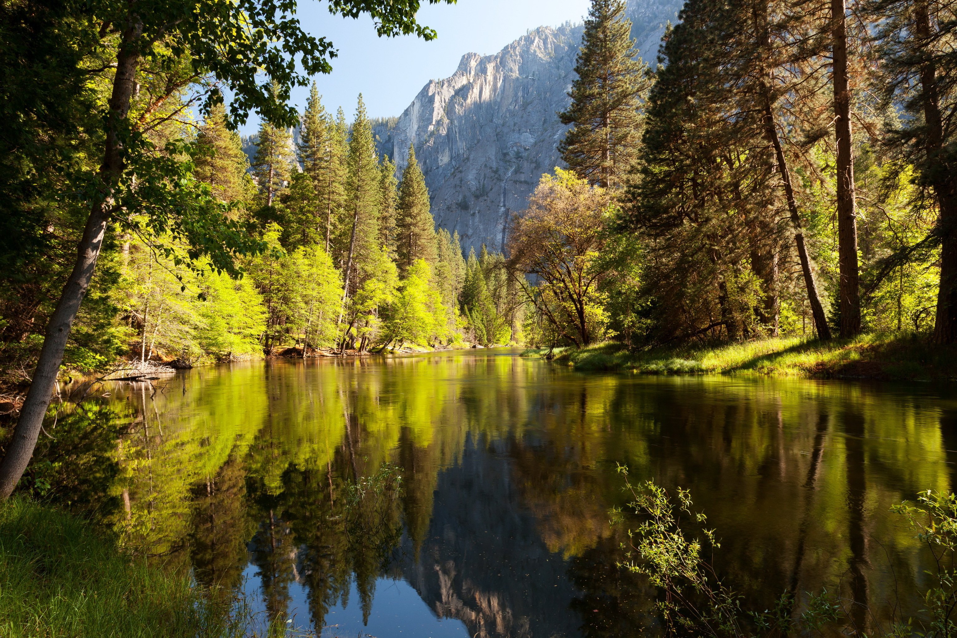 Природа картинки. Озеро Чиф Калифорния. Лейк Форест, штат Калифорния. Природа река озеро лес горы. Озеро в лесу.