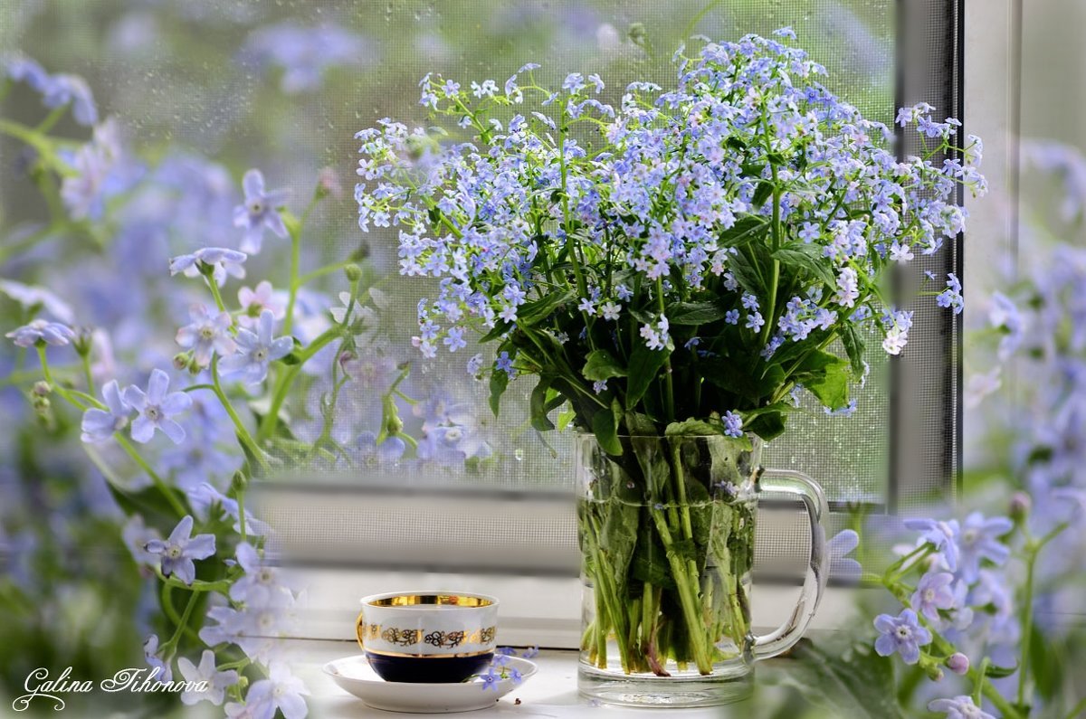 Доброе дождливое утро весны. Цветы на окне. Утренние цветы. Полевые цветы на окне. Весенний букет на окне.