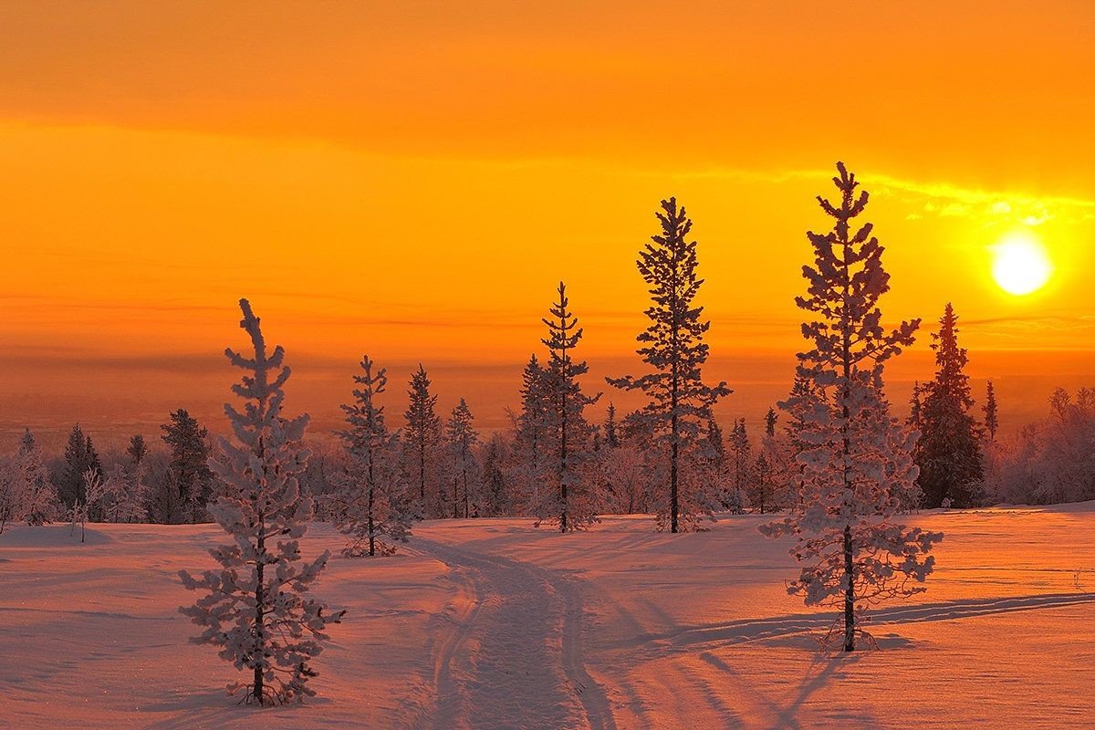 Зимнее утро. Зимние пейзажи севера. С зимним утром. Зима Север закат.