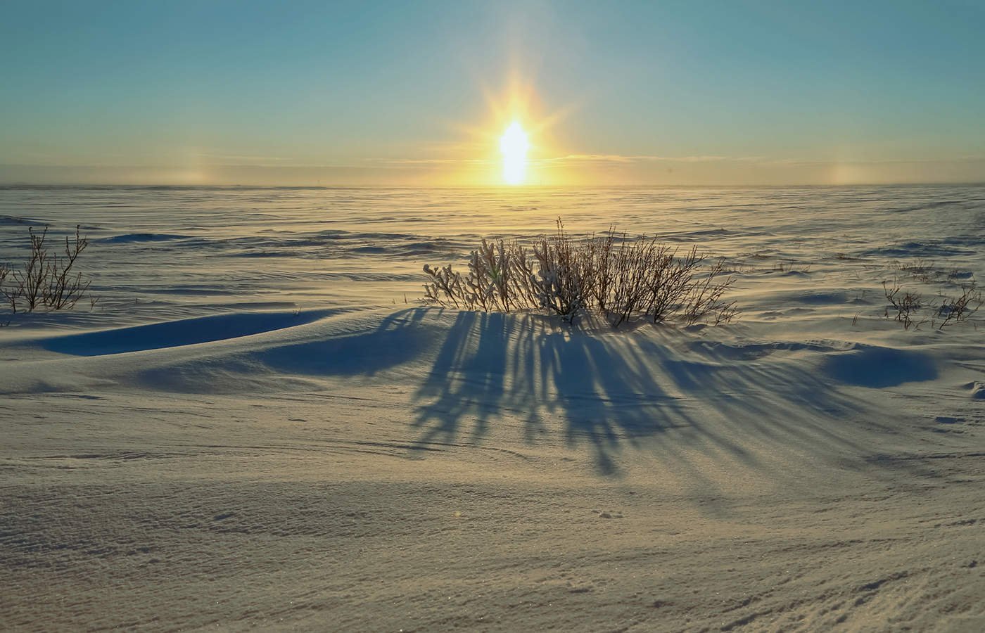 Солнечная тундра. Арктическая Полярная тундра зимой. Солнечное гало Ямал. Чукотка гало. Ямал Заполярье.