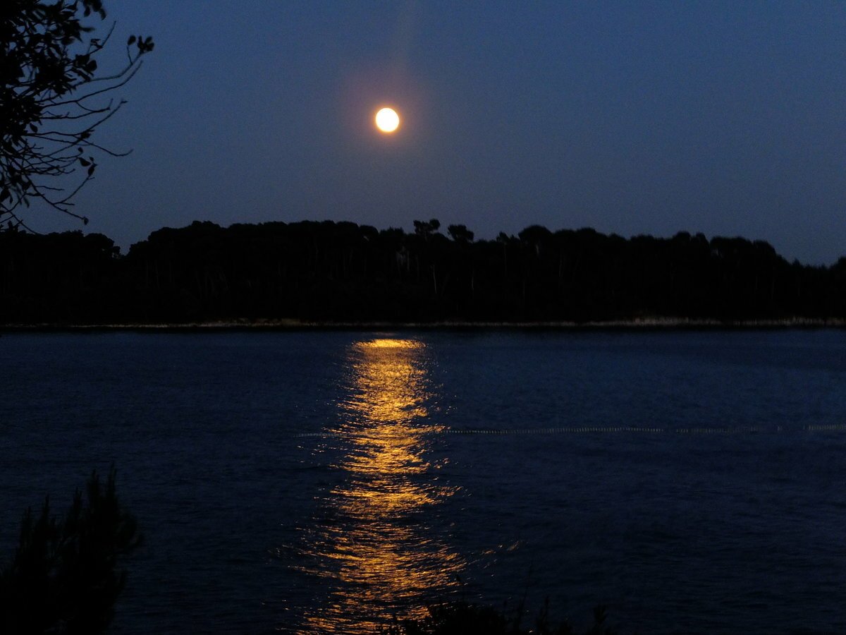 Луна озера ночи. Летняя ночь. Ночь Луна река. Река ночью. Озеро в лунном свете.