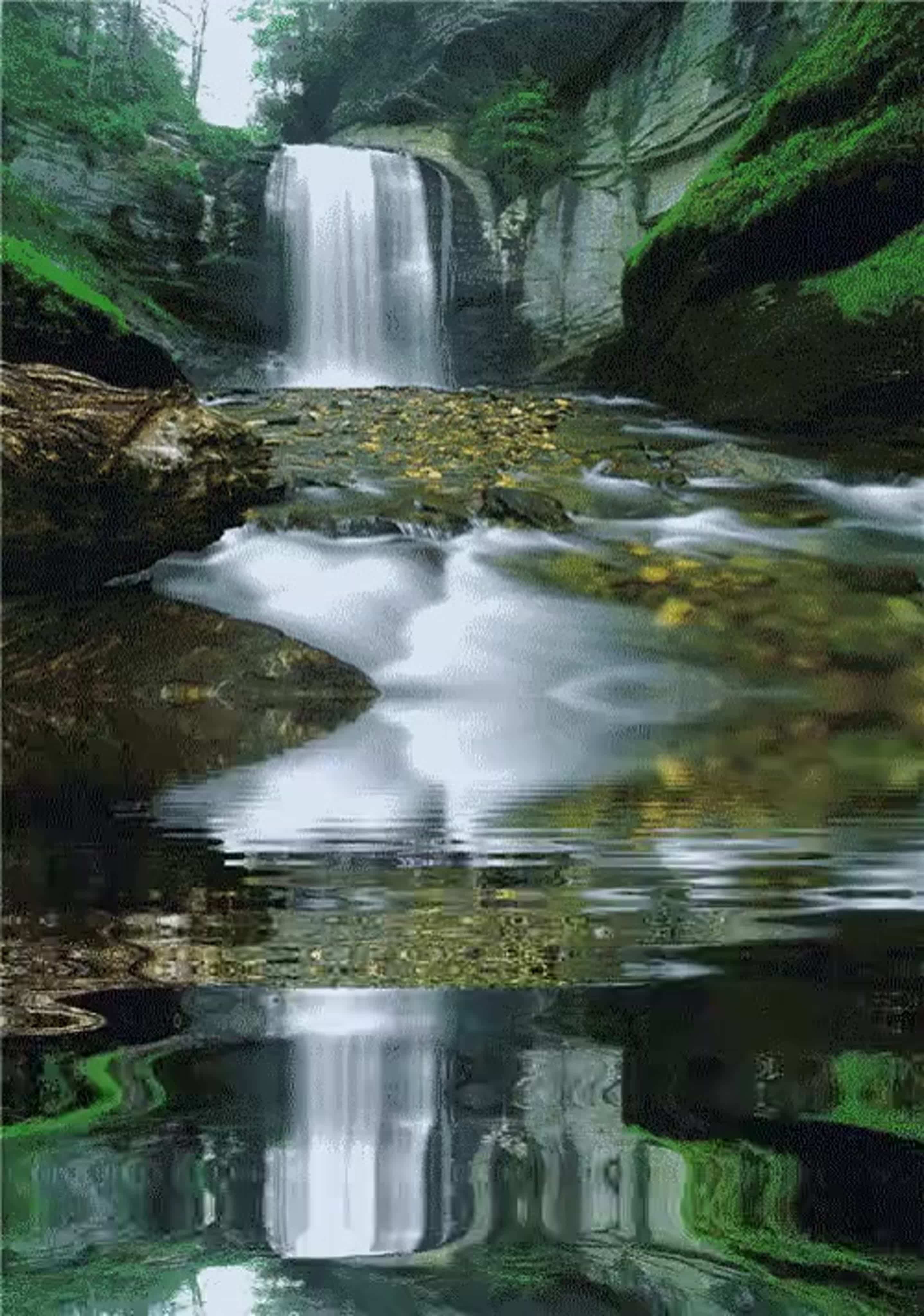 Видео на телефон природа. Красивые водопады. Живые водопады. Живая природа водопады. Красота природы.
