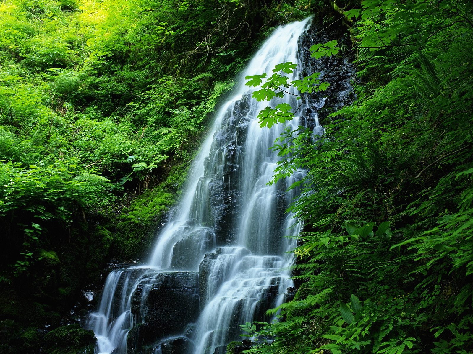 Как установить фон телефона. Красивые водопады. Живая природа водопады. Красивые пейзажи с водопадами. Живые водопады.