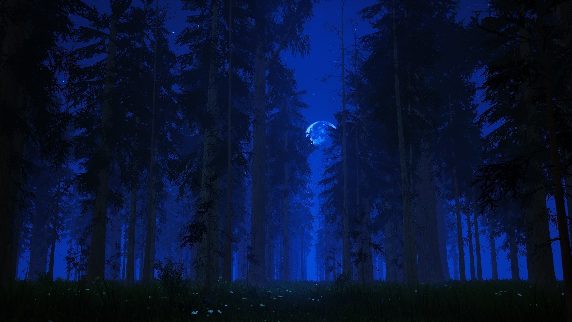 Ночь лес красиво. Ночной лес. «Ночь в лесу». Поляна в лесу ночью. Синий лес.