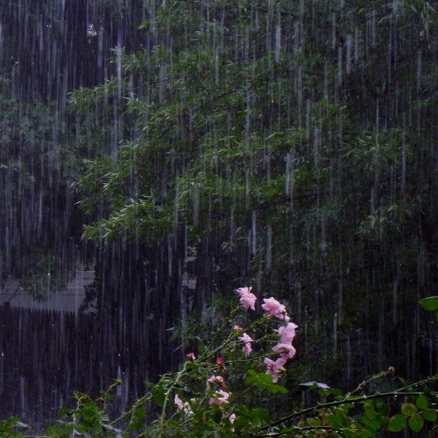 Воздух пахнет дождем. Ливень. Дождь летом. Дождь Эстетика.