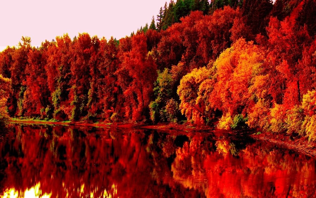 Багряная лета. Осень. Краски осени. Осенние краски природы. Красивая осень.