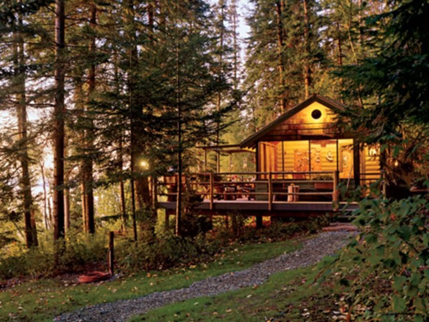 Лес живой дом. Хижина гномов, Британская Колумбия. Дом в лесу. Деревянный дом в лесу. Домик в лесу у озера.
