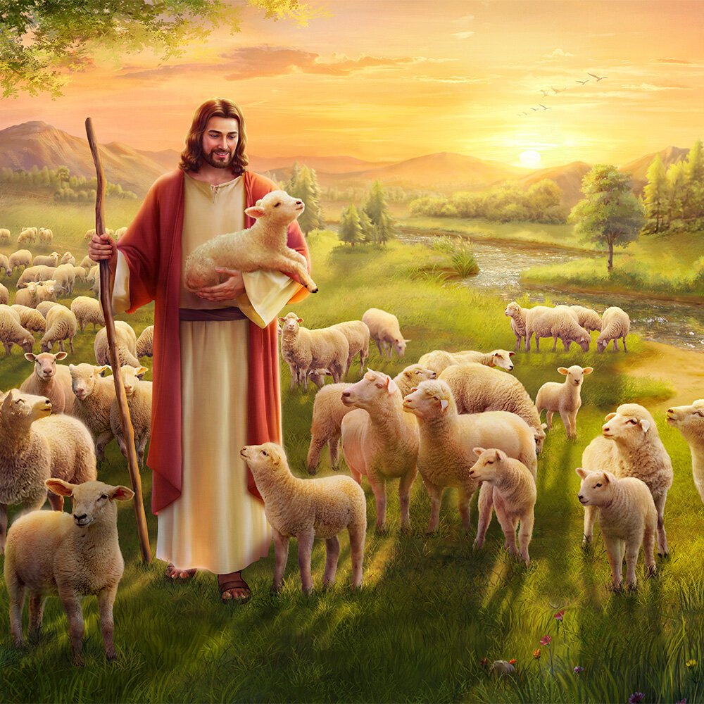 Иисус и овцы
