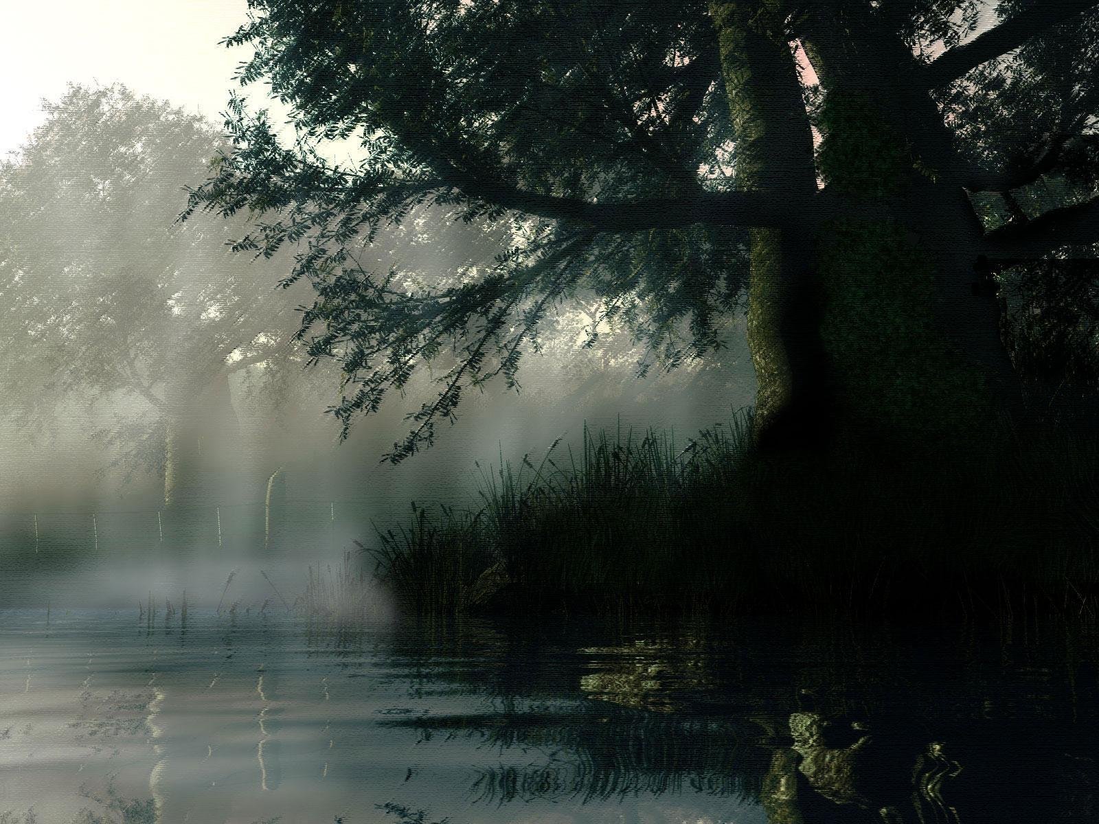 Печальные поляны. Дождь в лесу. Мистические пейзажи. Озеро в тумане. Мистическое озеро.