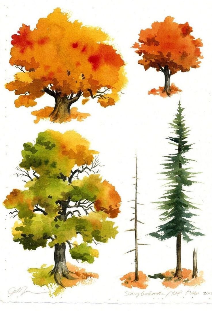 Рисование деревьев акварелью