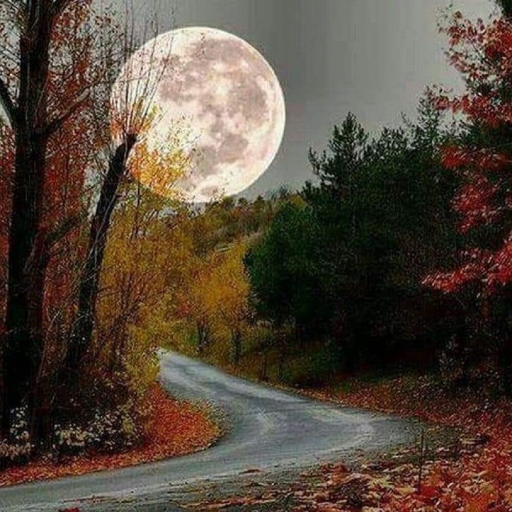 Осень на телефон обои Луна