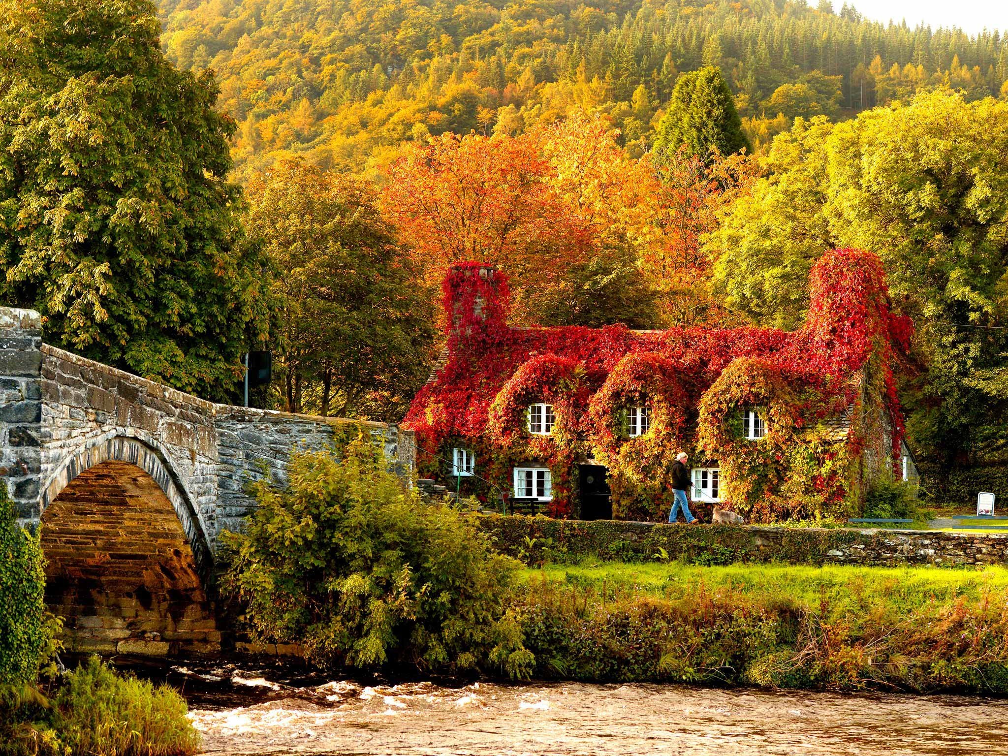 Красивые осенние картинки. Уиндермир Англия осень. Англия Хэмпшир природа. Осень в Шопфхайме Германия. Дом плющ Уэльс.