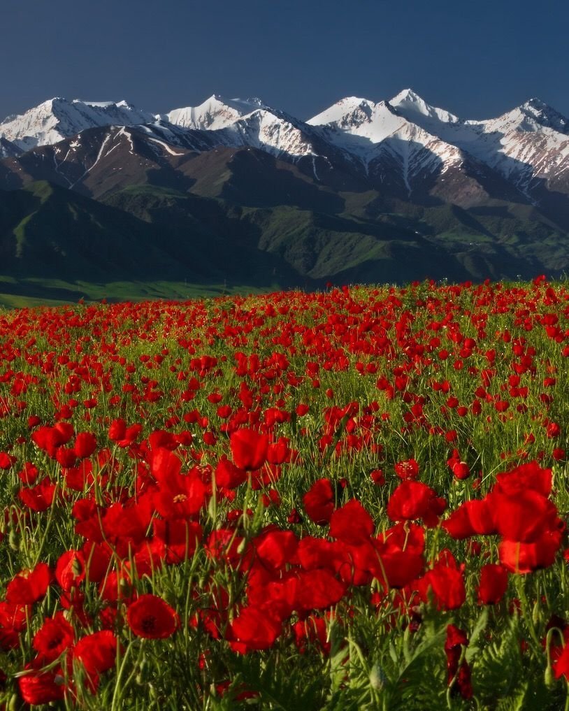 Горы кыргызстана