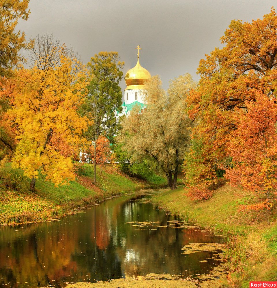 Золотая осень Царское село храм Покрова