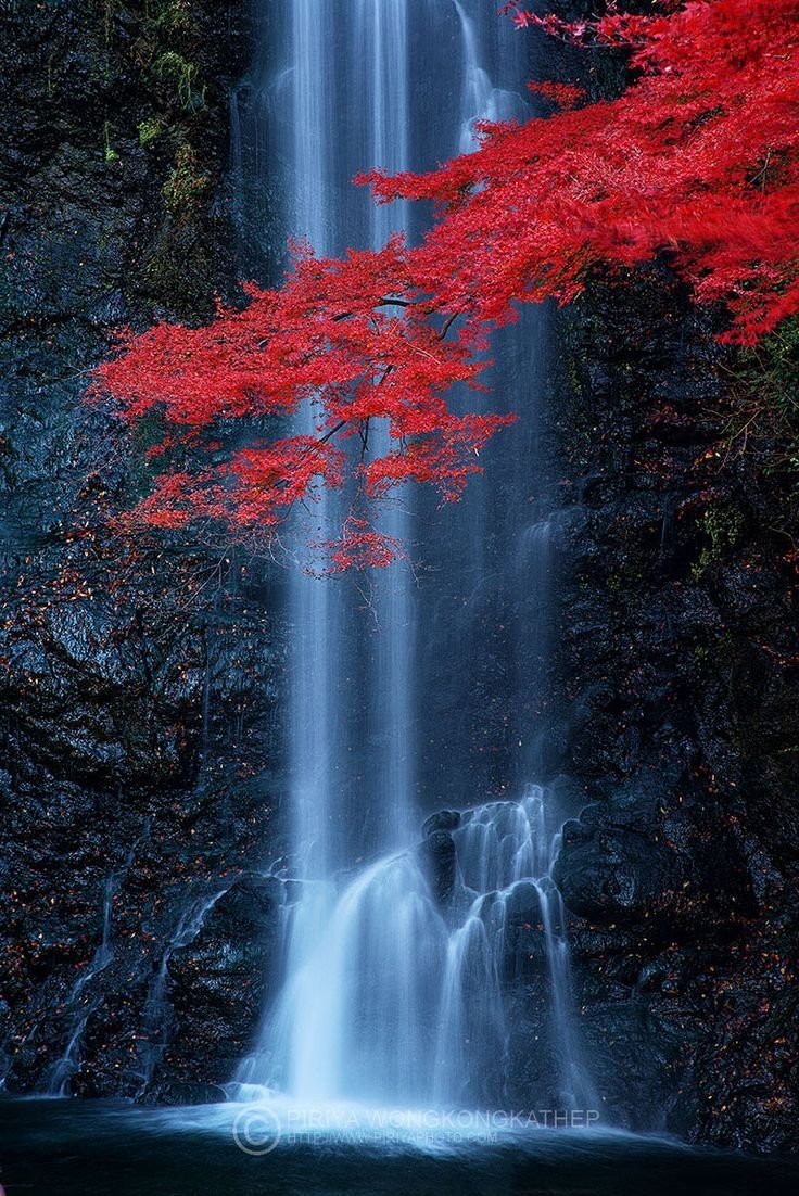 Япония природа водопад