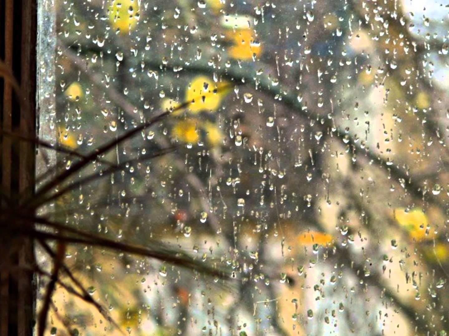 Долго ждали дождь. Дождливая осень за окном. Осень дождь за окном. Дождь в окне.