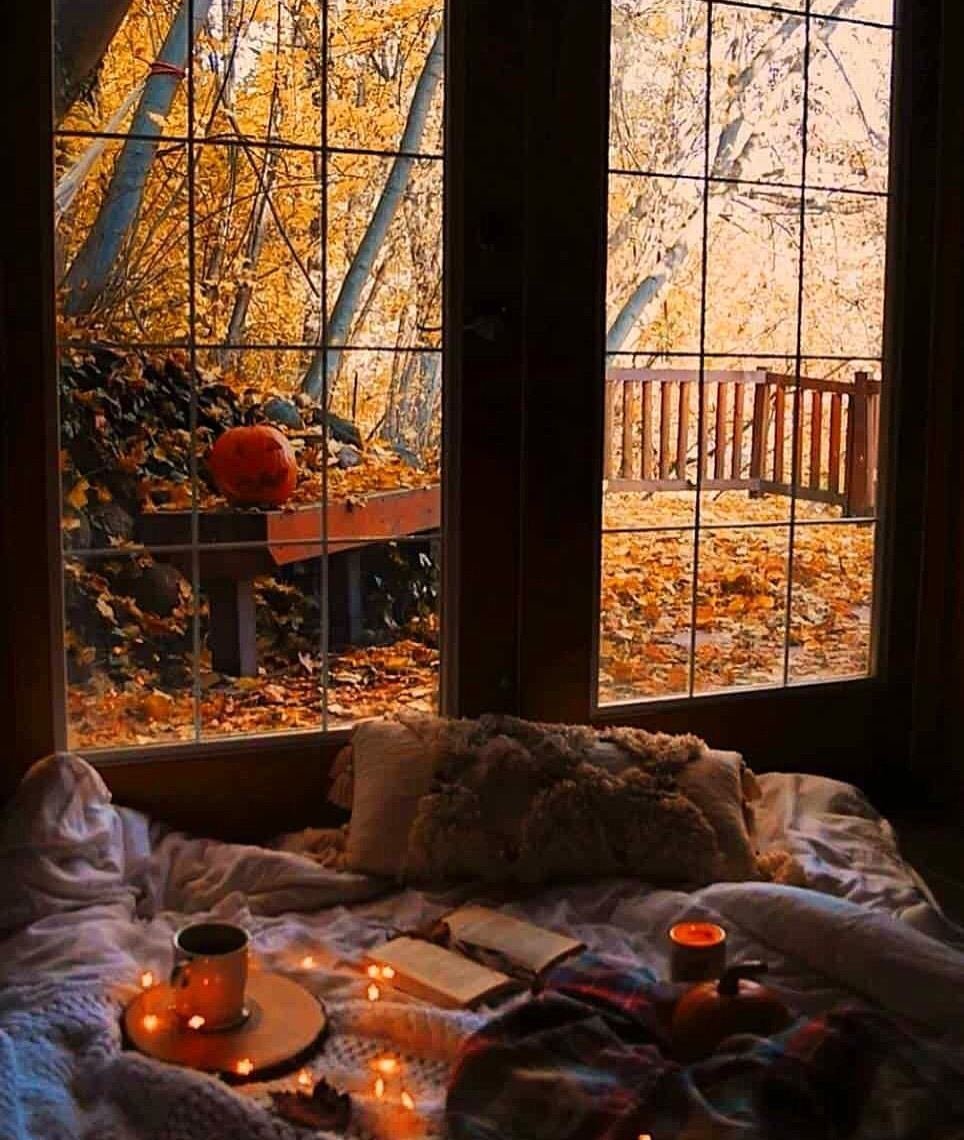 Осень из окна