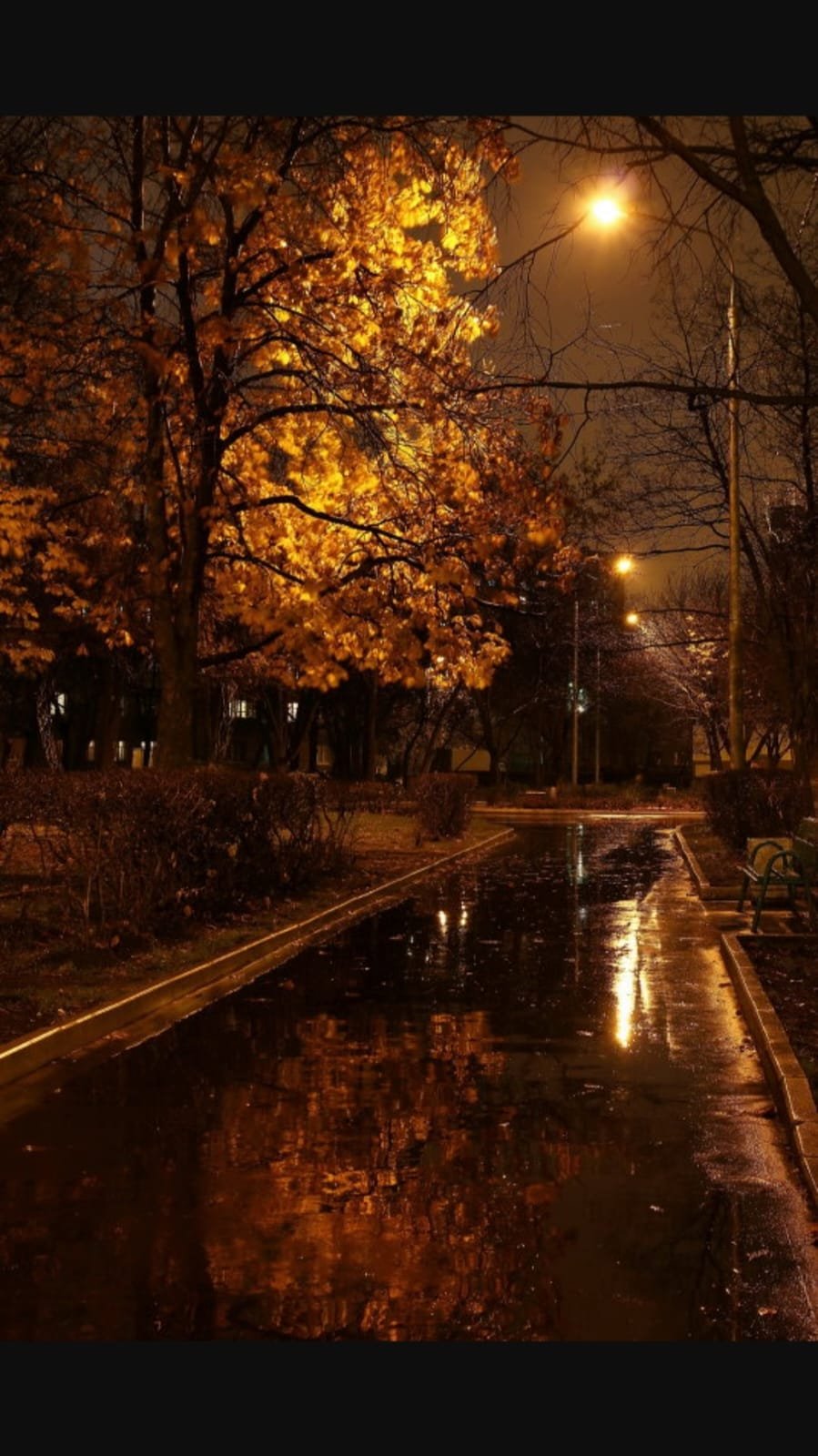 Ночная дождливая Москва