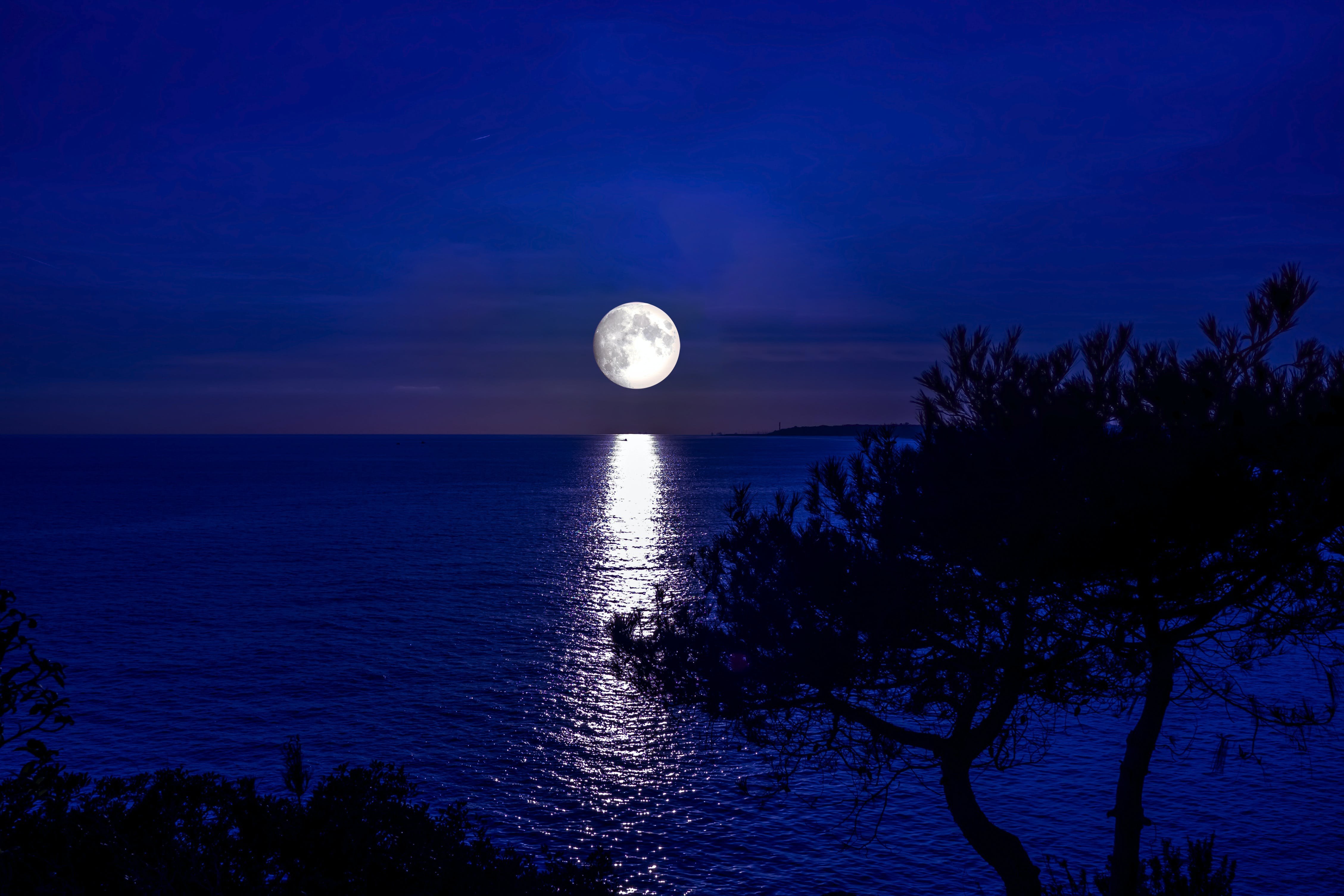 Слушать песни лунная ночь. Лунная ночь на море. Ночное море. Луна. Ночь Луна.