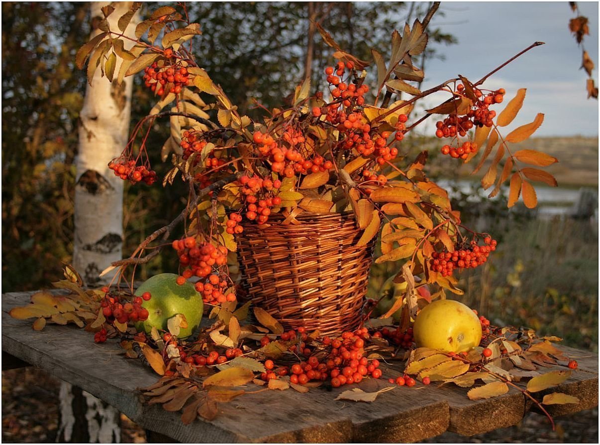 Хороша осень плодами. Осенняя композиция. Натюрморт осенний. Осенние дары природы. Осенний букет.