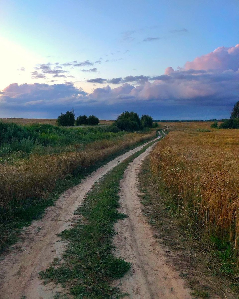 Дорога в поле