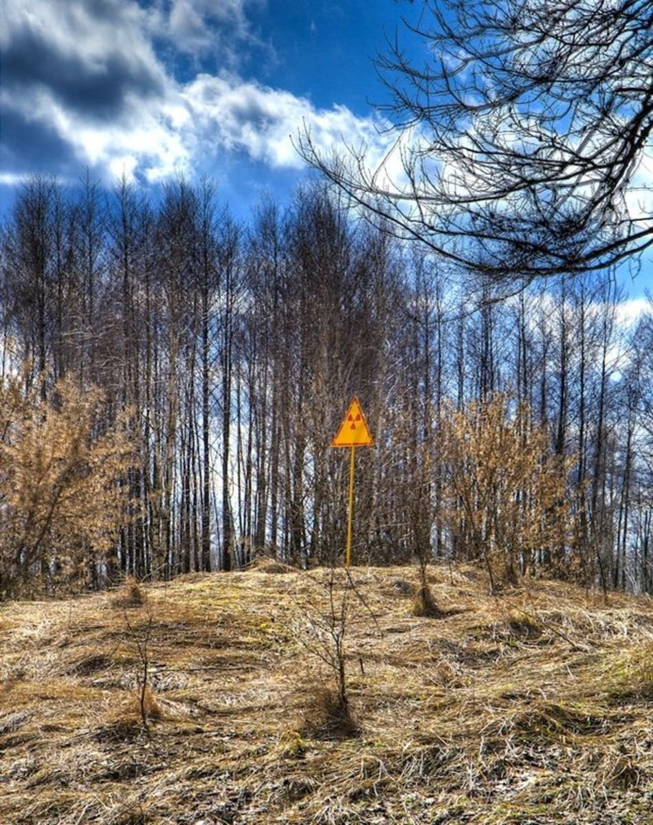 Чернобыльская АЭС радиоактивный лес
