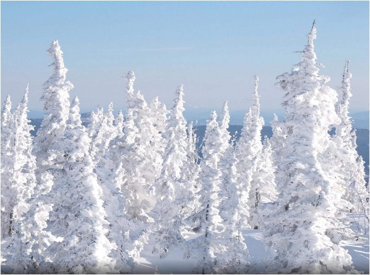 Белое чудо природы. Зима в России. Красота зимы. Снег в России. Россия зимой.