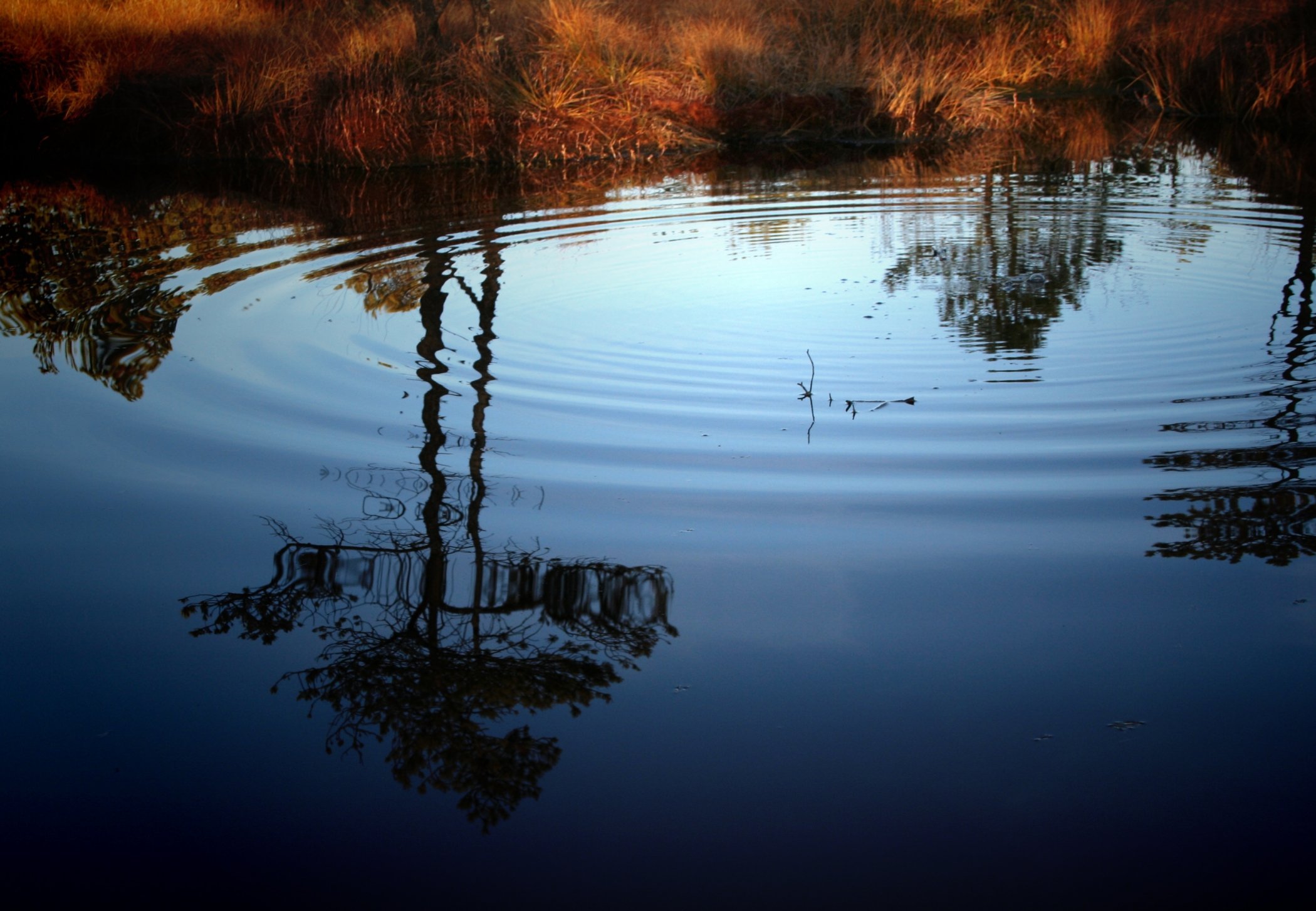 Отражение текста в воде. Отражение в воде. Красивое отражение в воде. Зеркальное отражение в воде. Отражение предметов в воде.