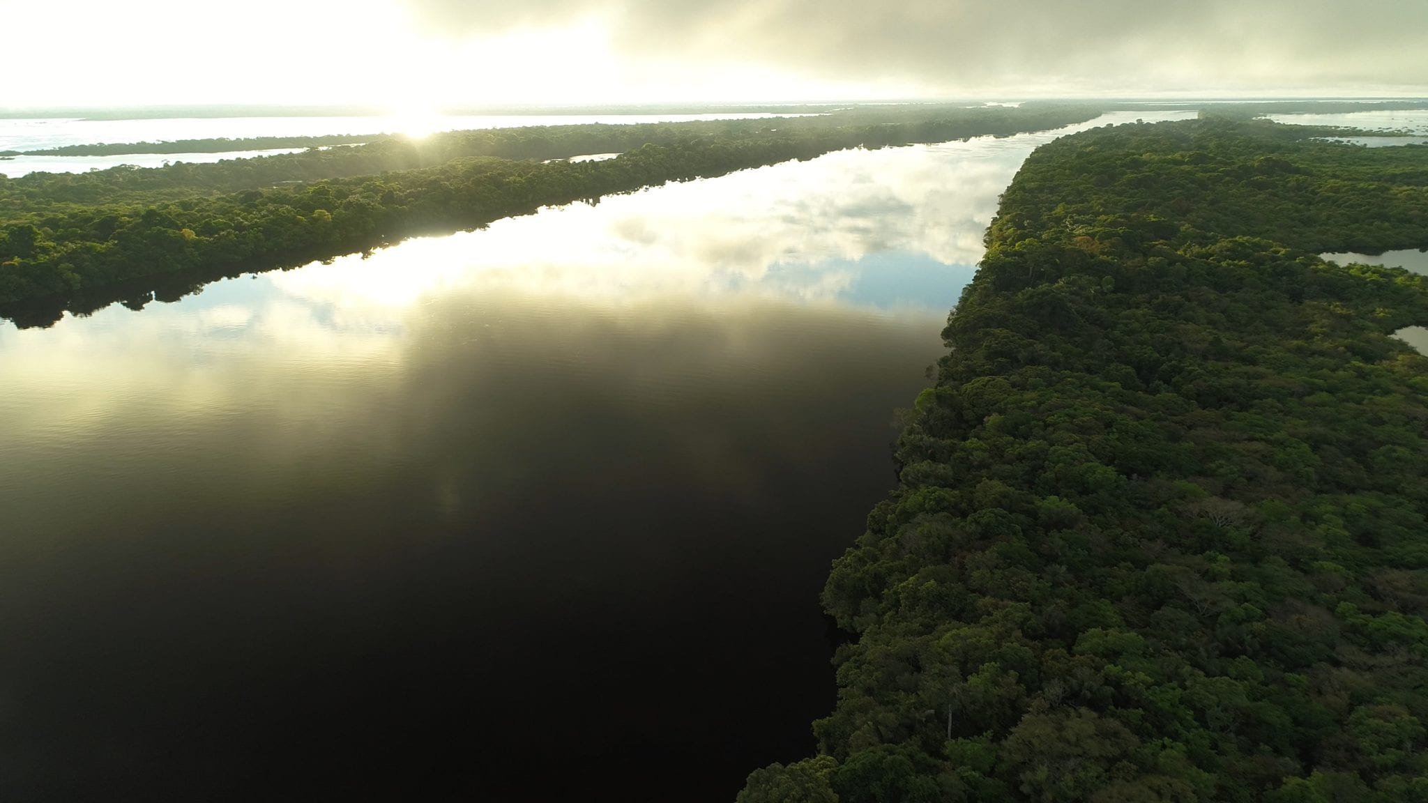 Какие крупные озера находятся на амазонской низменности. Устье реки Амазонка. Бразилия Амазонская низменность. Исток реки Амазонка. Эстуарий реки Амазонка.