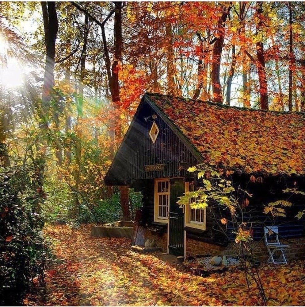 Осень дом