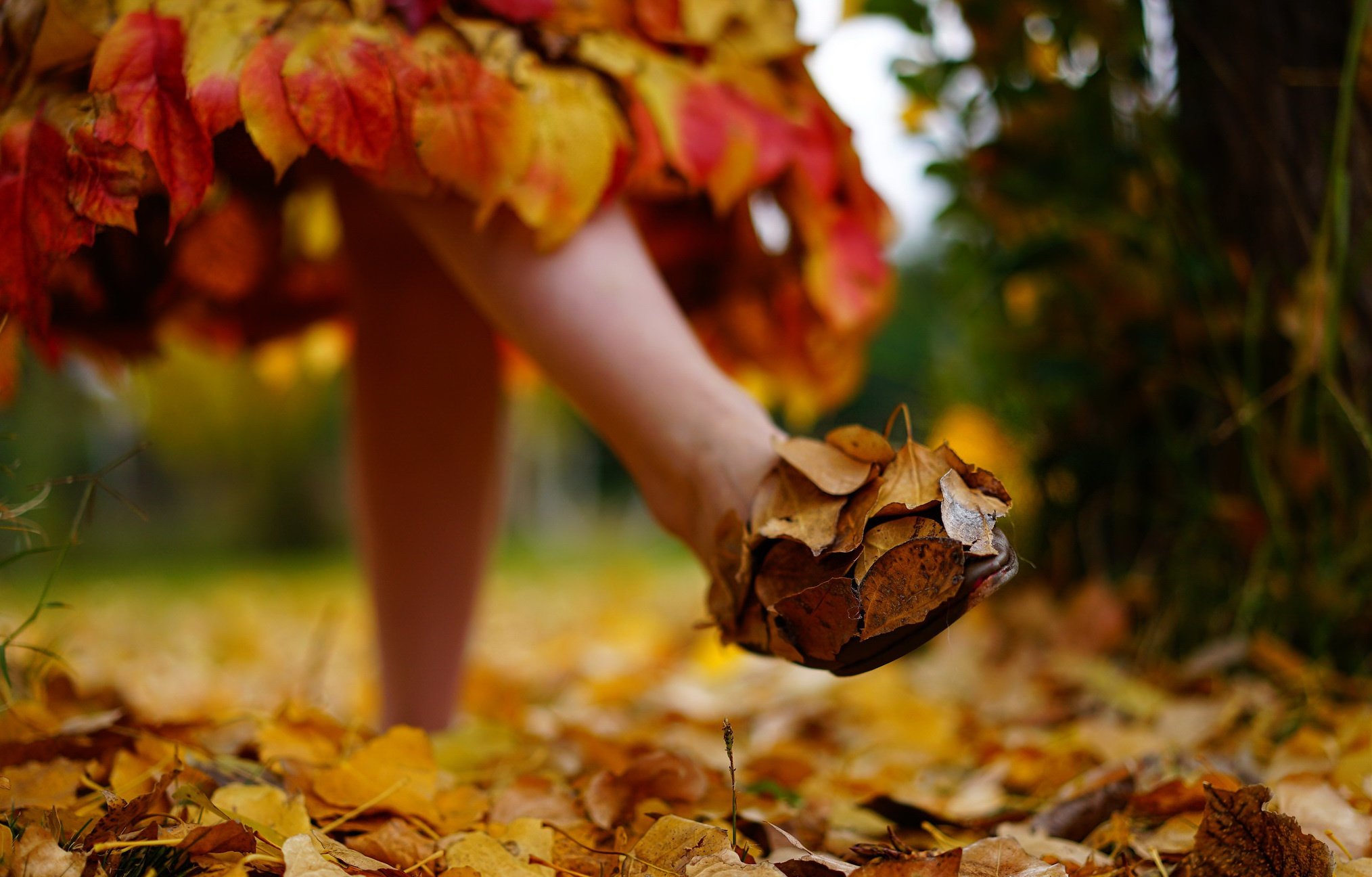 Голод осень. Ноги листья. Осень листья под ногами. Ноги в осенних листьях. Ноги в листве осенней.