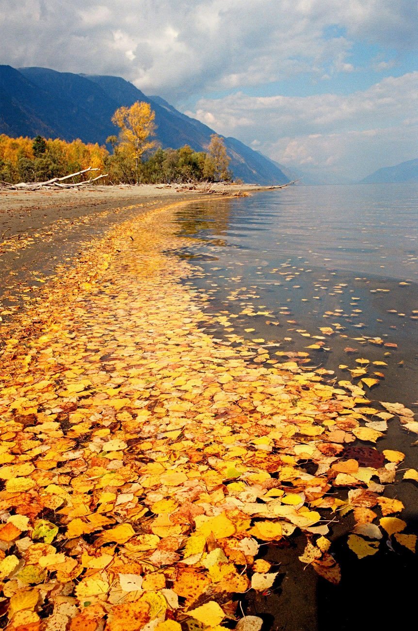Телецкое озеро осень