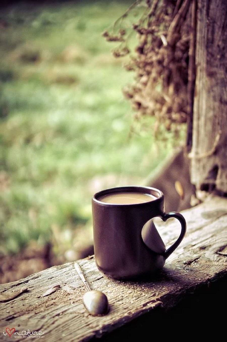 Чашка кофе на природе