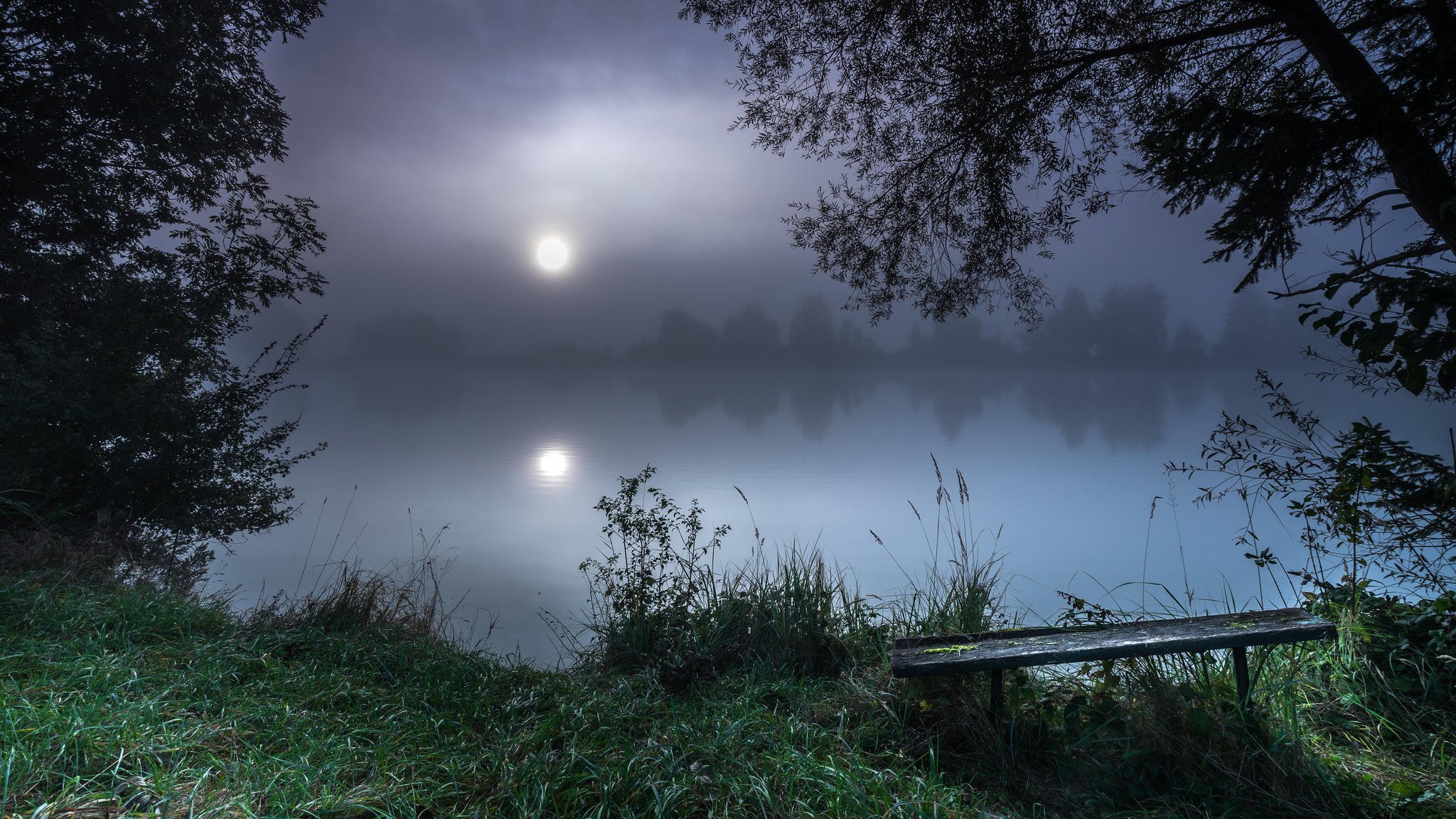 Тиши тиши тишина. Ночь река лес. Вечерняя природа. Берег озера ночью. Летняя ночь.