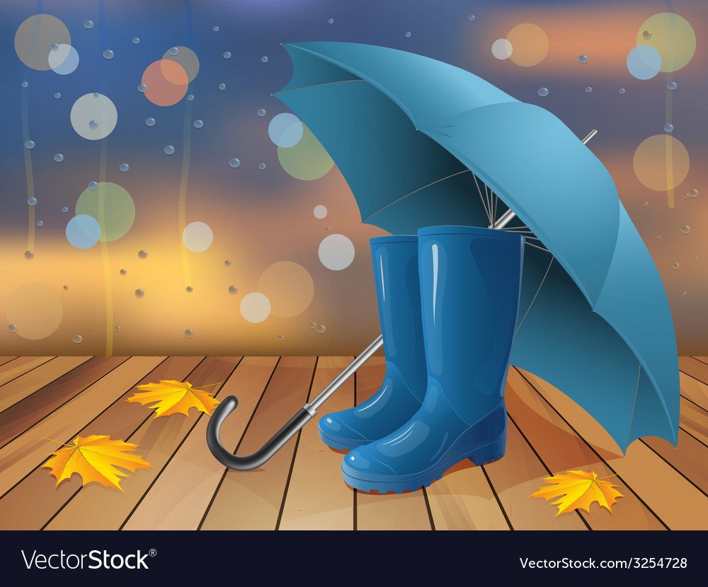 Резиновые сапоги и зонт