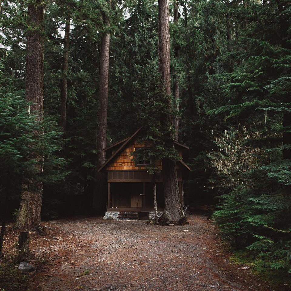 Forest House Хижина в лесу
