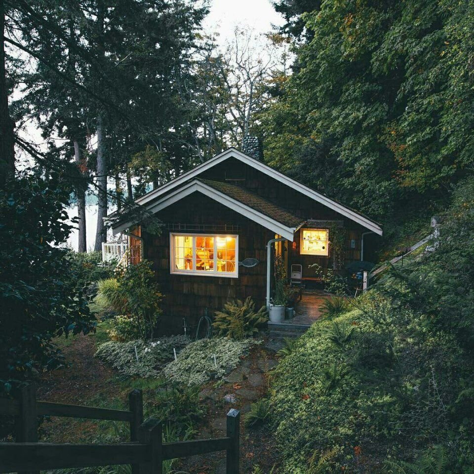 Маленький уютный дом в лесу