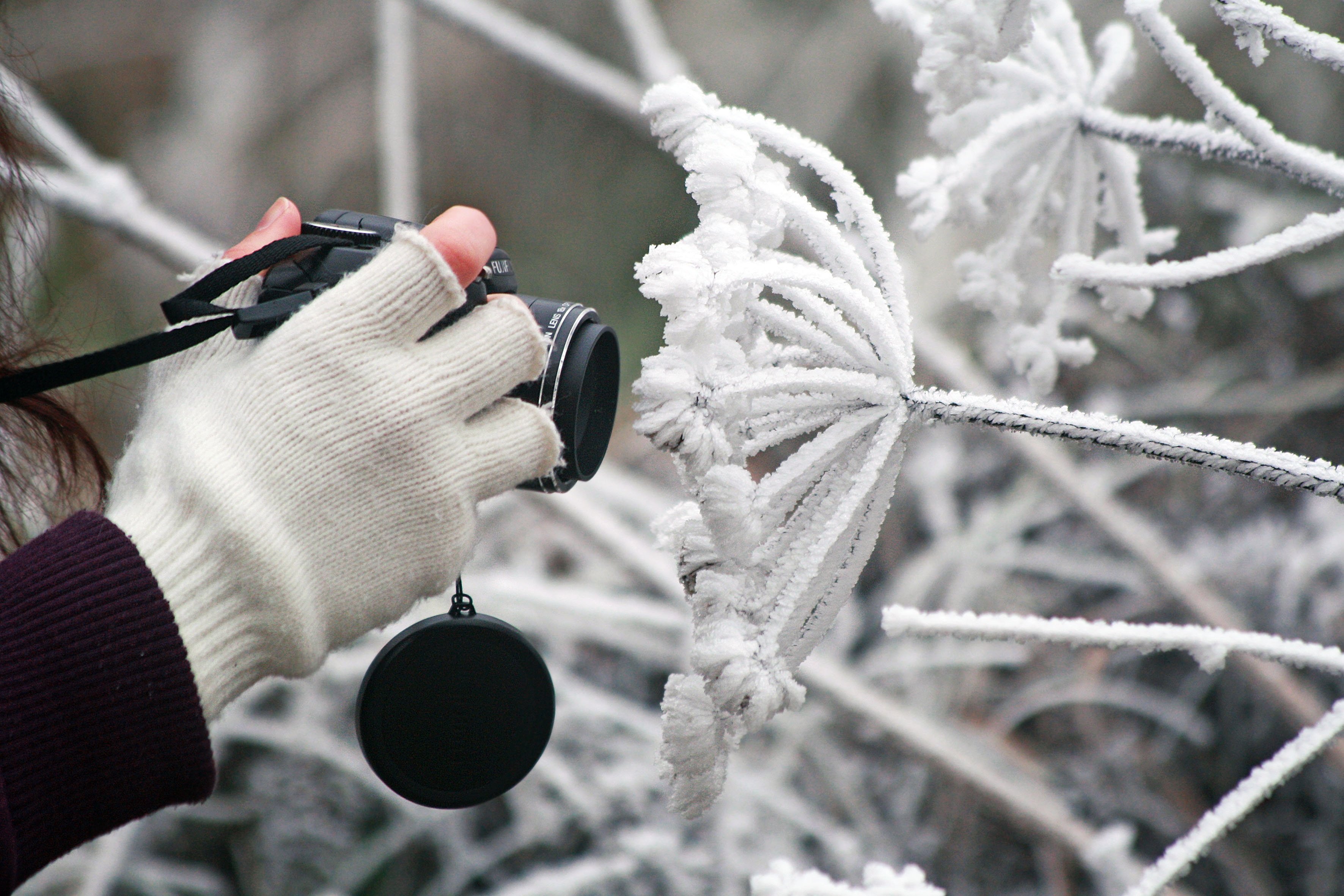 Повторяй снег. Фотограф зимой. Фотографирование зимой. Что фотографировать зимой. Зимняя фотосессия фотоаппарат.