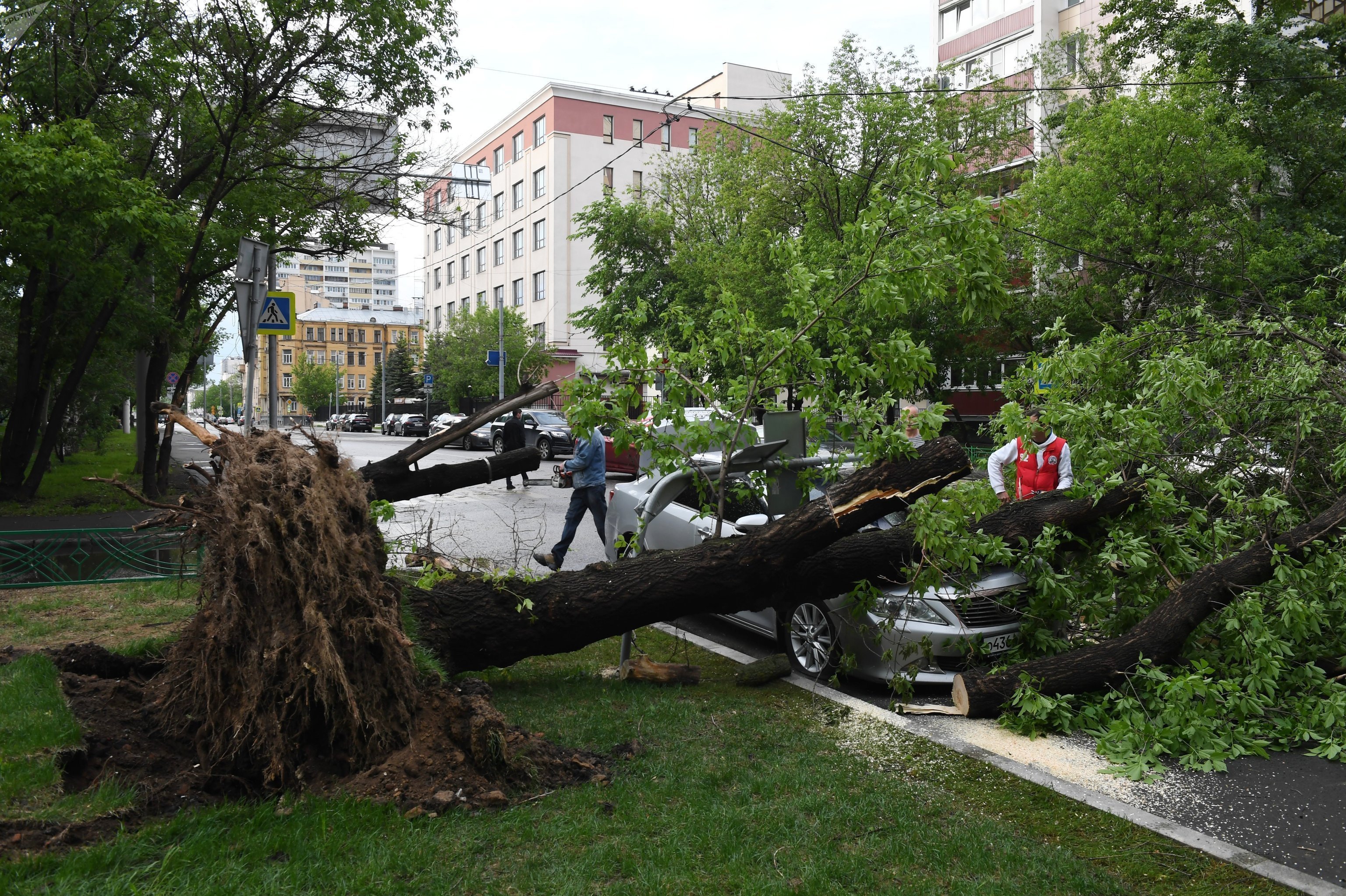 Где был сильный ветер. Ураган в Москве 29 мая 2017 года. Ураган 2017 года в Москве. Ураган в Москве 1998. Поваленные деревья в Москве.