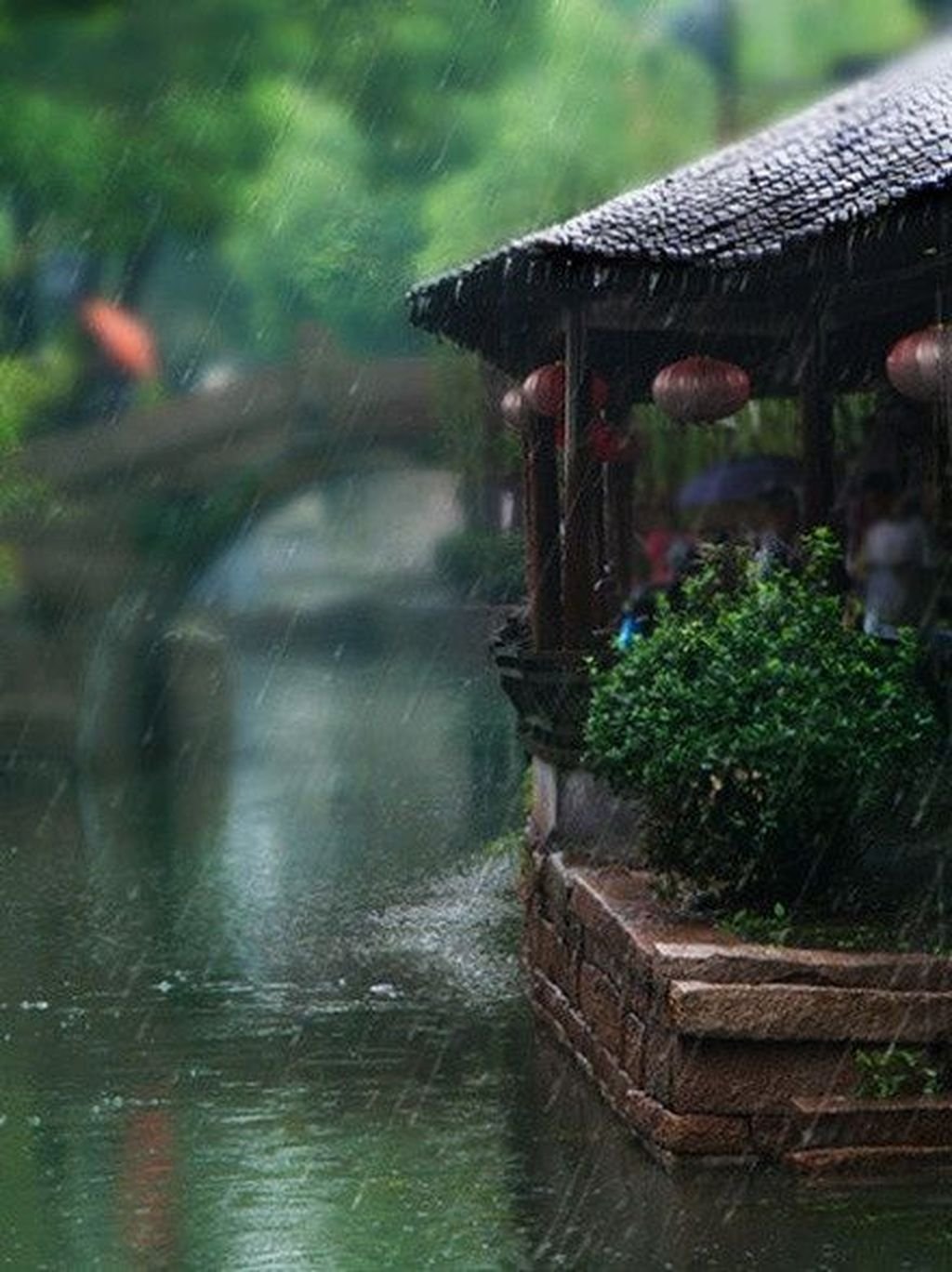 Дождь на китайском. Лето дождь. Ливень. Дождливое лето в саду. Дождь летом.
