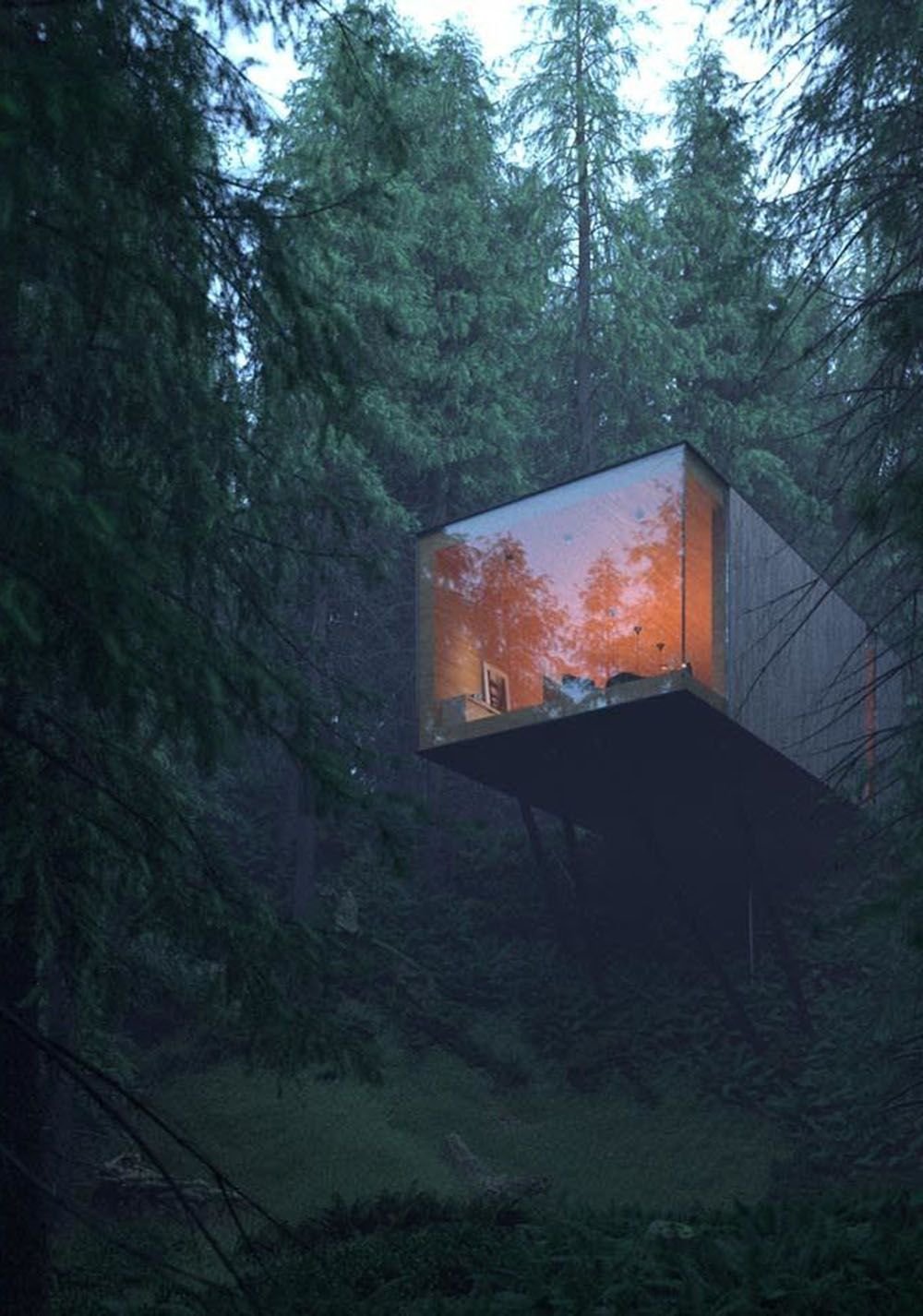Стеклянный дом в лесу