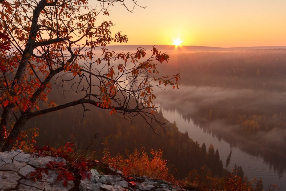 Осенний закат в лесу