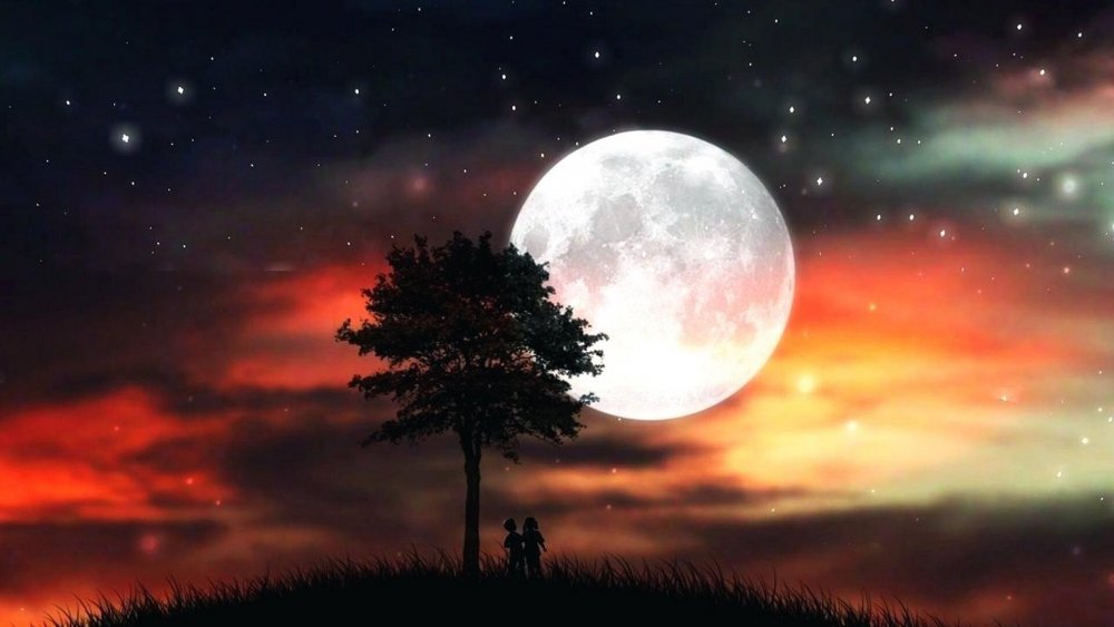 Звездная ночь с луной