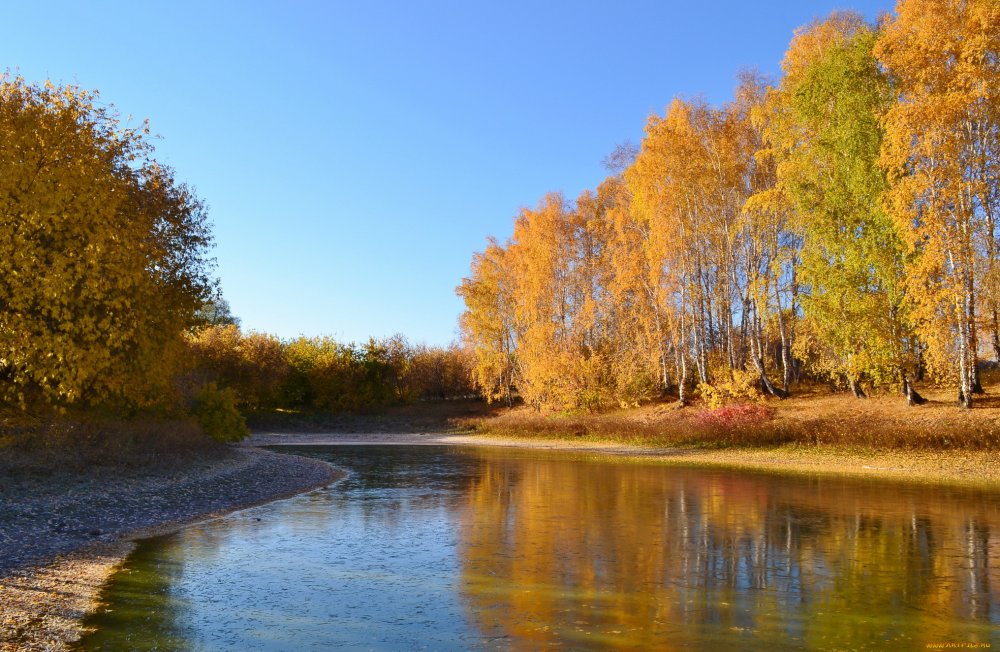 Парк Волхов река осень